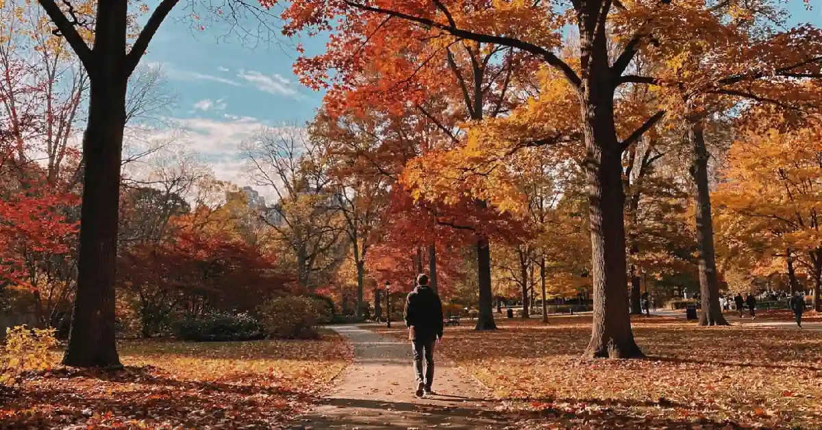 Relaxed Central Park walk designed by a travel planner New York City