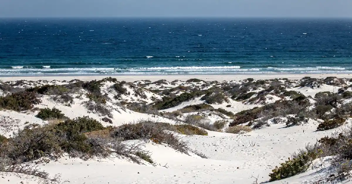 Wild six kilometer white sand beach with no hotels or umbrellas at Torre Salsa Nature Reserve between Sciacca and Agrigento.

