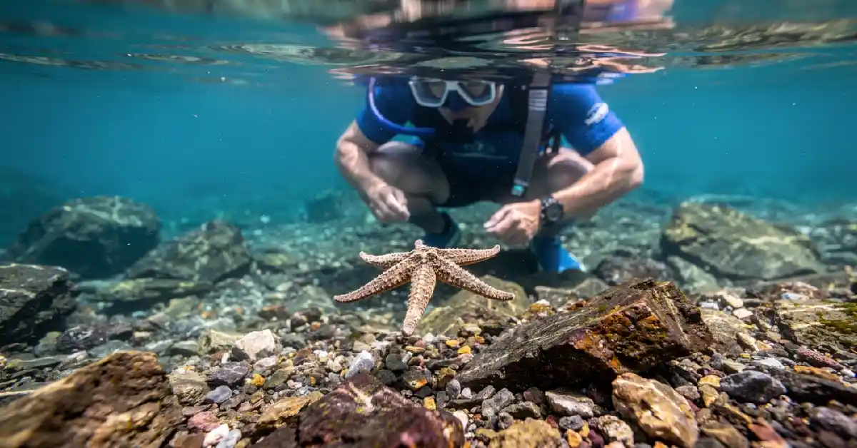 Rocky shoreline and crystal clear water at Stazzone beach Sciacca, perfect for snorkeling to see octopus and starfish.