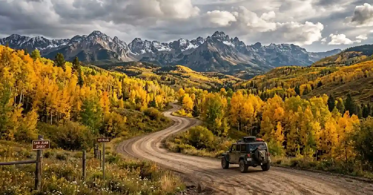 Aspen trees turning gold along the Alpine Loop Scenic Byway in Colorado